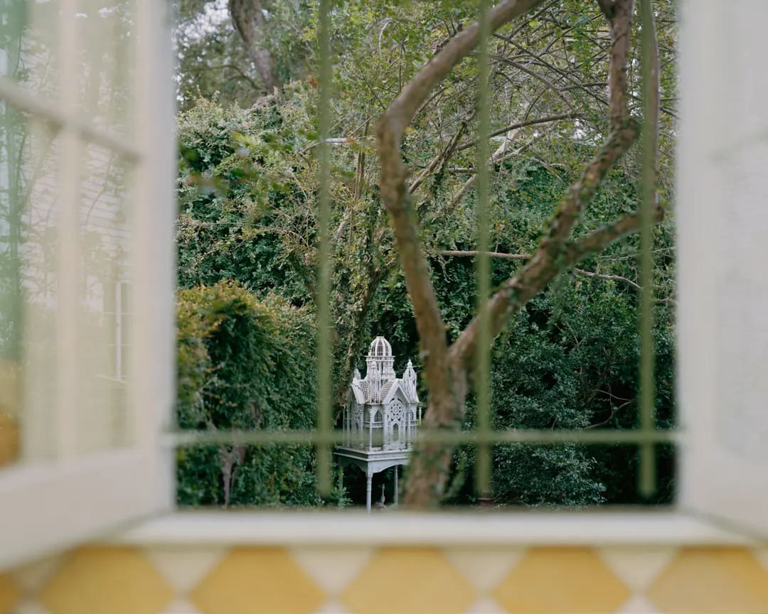 Alex’s New Orleans, 2018.