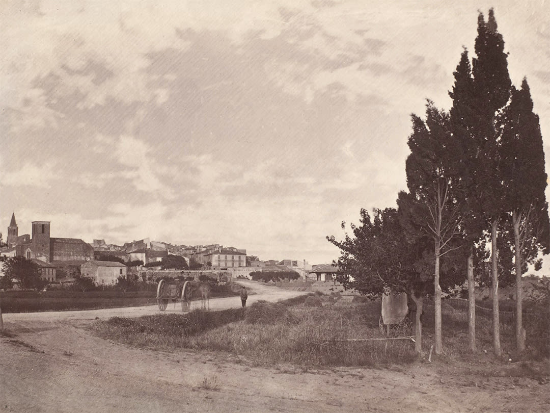 Landscape with Cypresses near Beaucaire