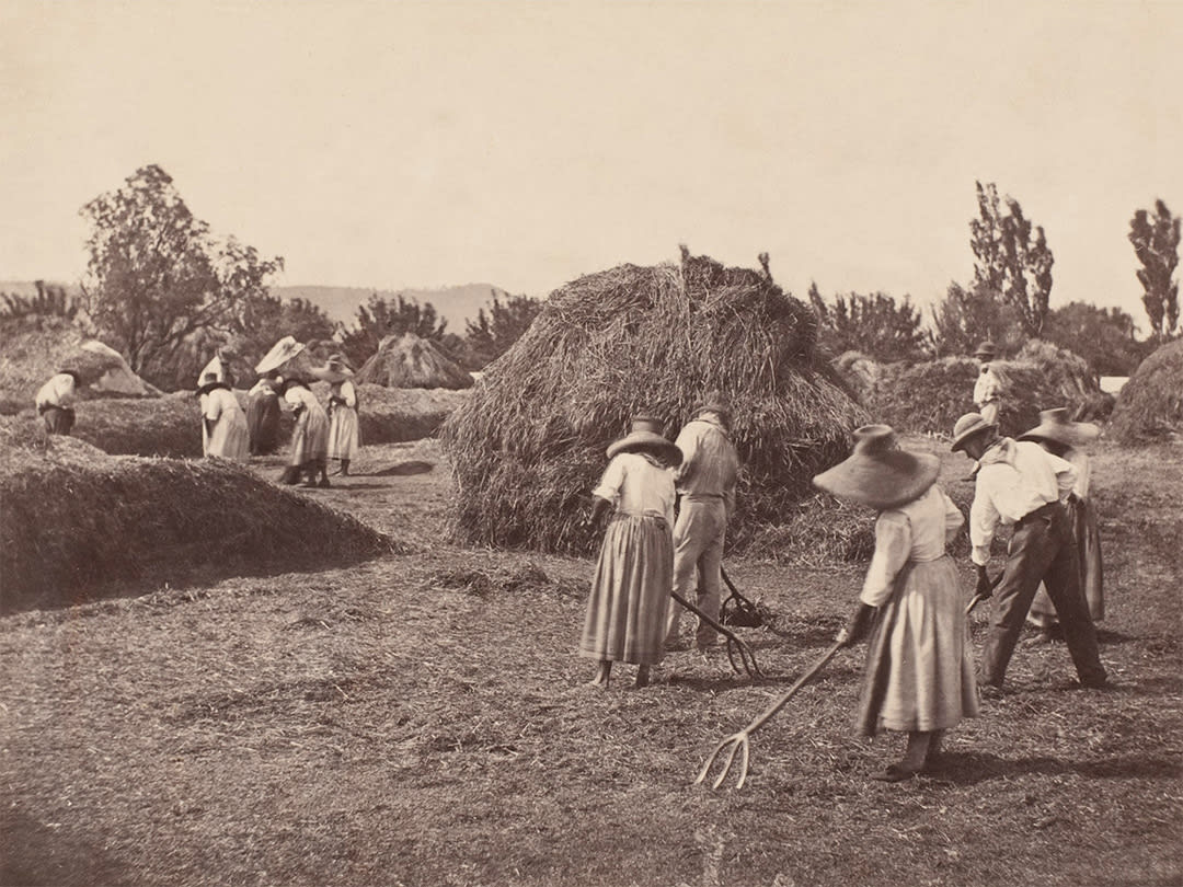 Harvesters, Surroundings of Grasse, 1865
