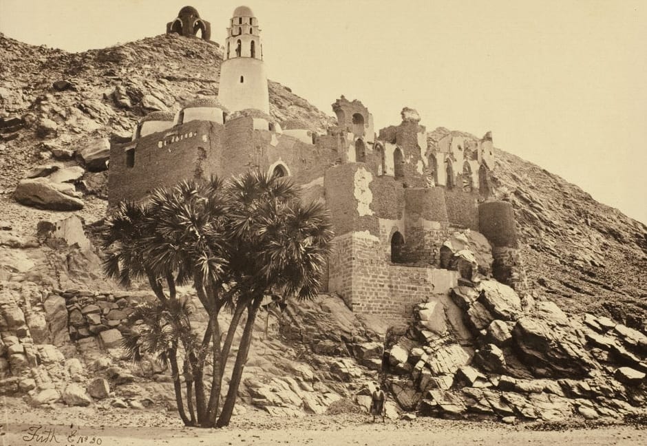 Doum Palm and Ruined Mosque, Philae

