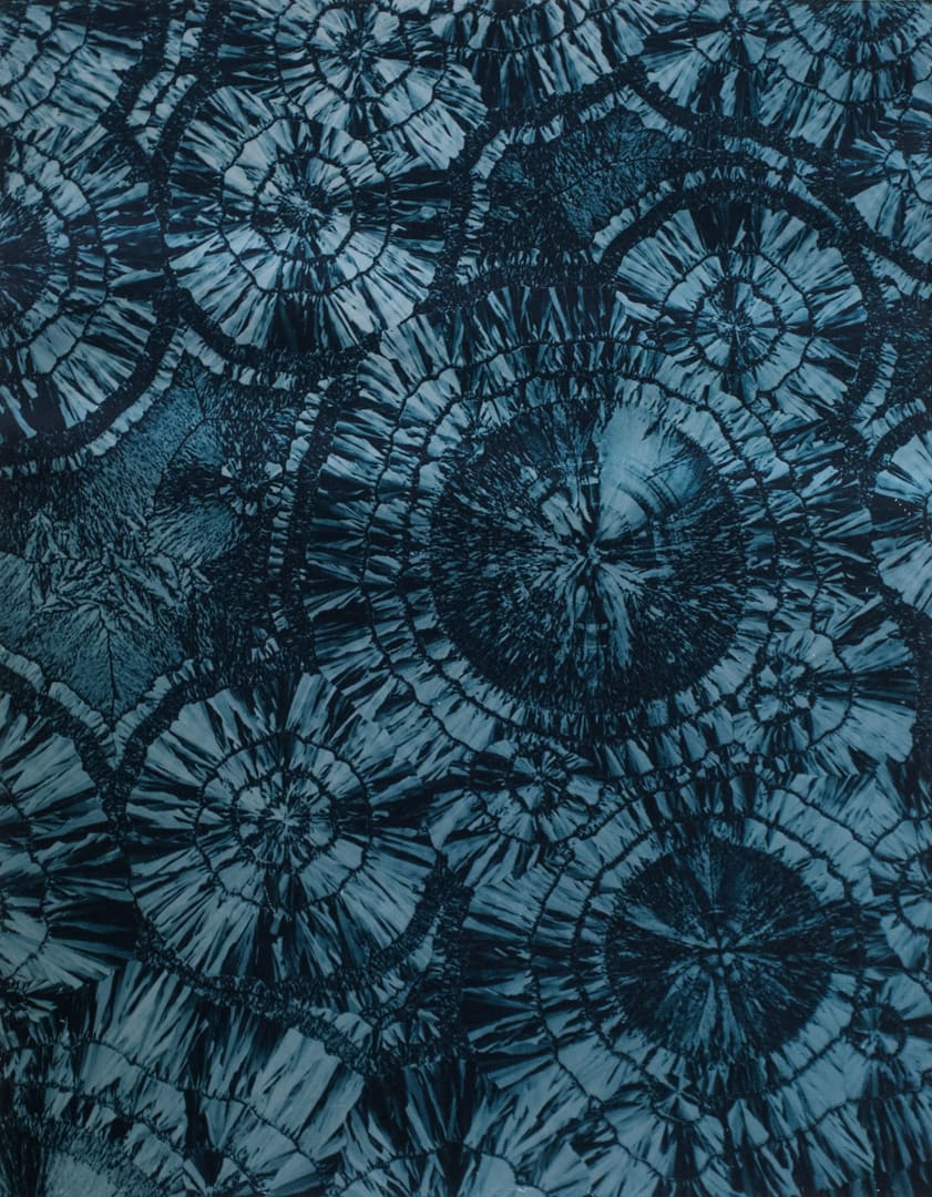 Plate XX Ruminant uric acid