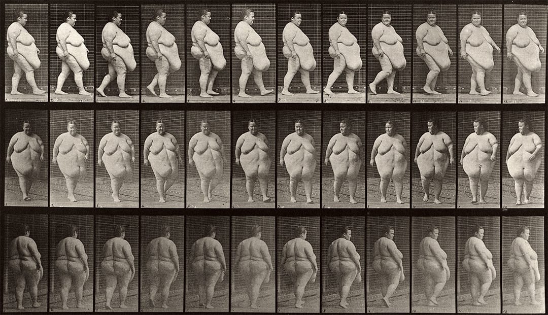 Plate 19. Walking, commencing to turn around