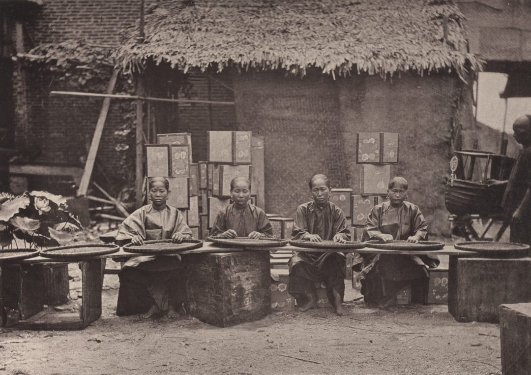 Tea Picking in Canton, 1873; Collection of The Museum of Modern Art. Image courtesy of MoMA.