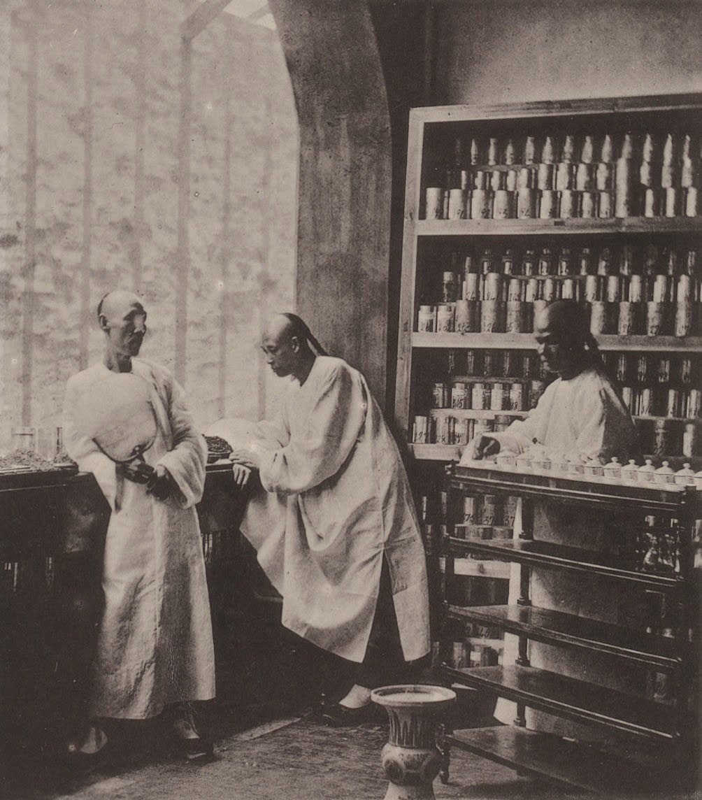 A Tea-Tasting Room, Canton, 1873