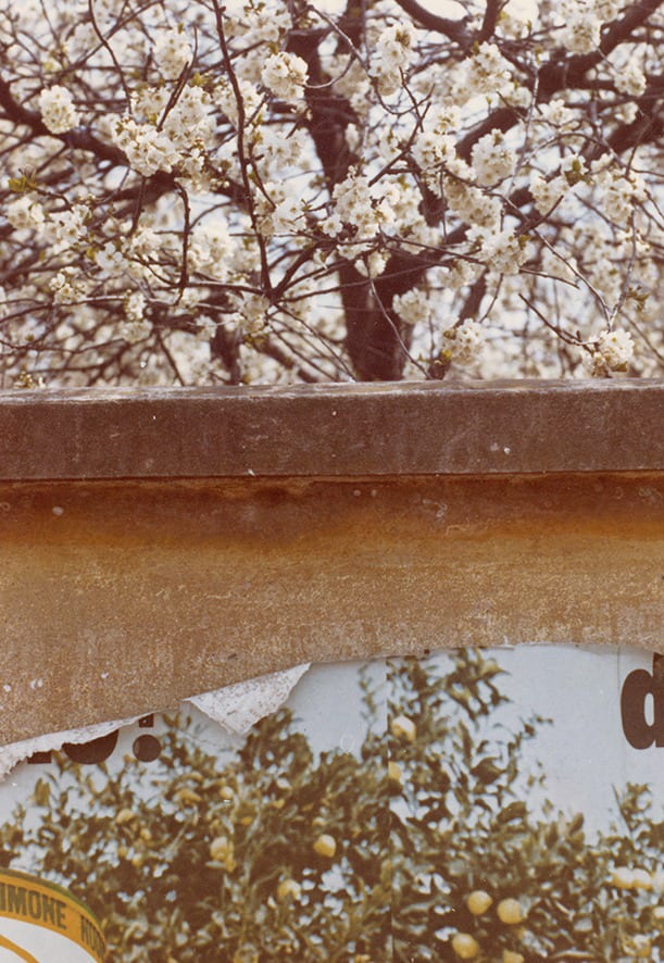 Modena, 1973