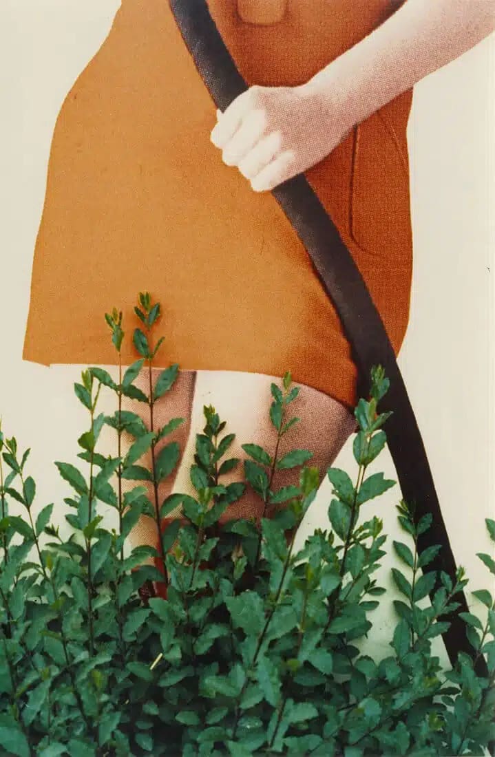 Modena, 1972