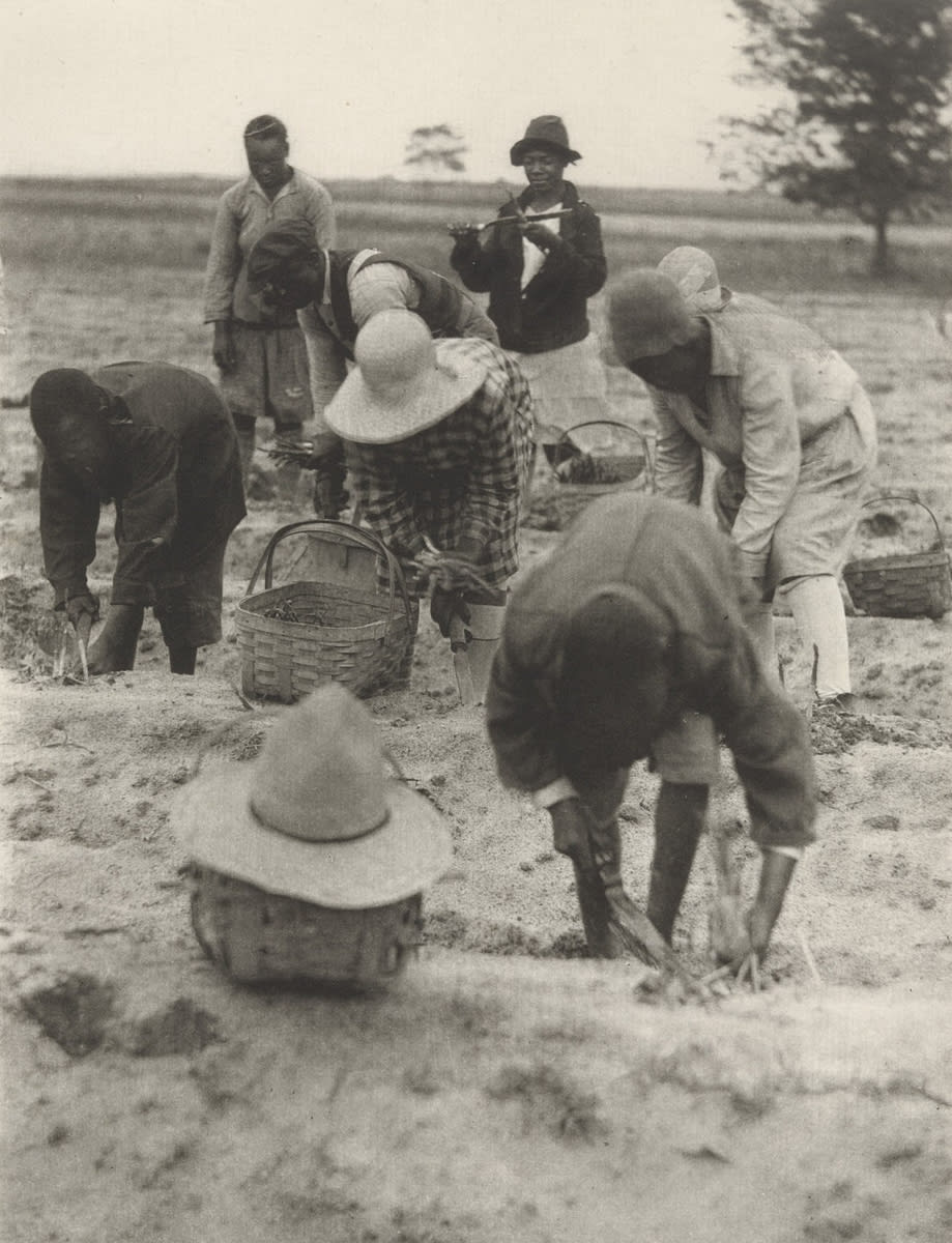 Untitled, 1929-31. Collection of The Museum of Modern Art. Image courtesy of MoMA.