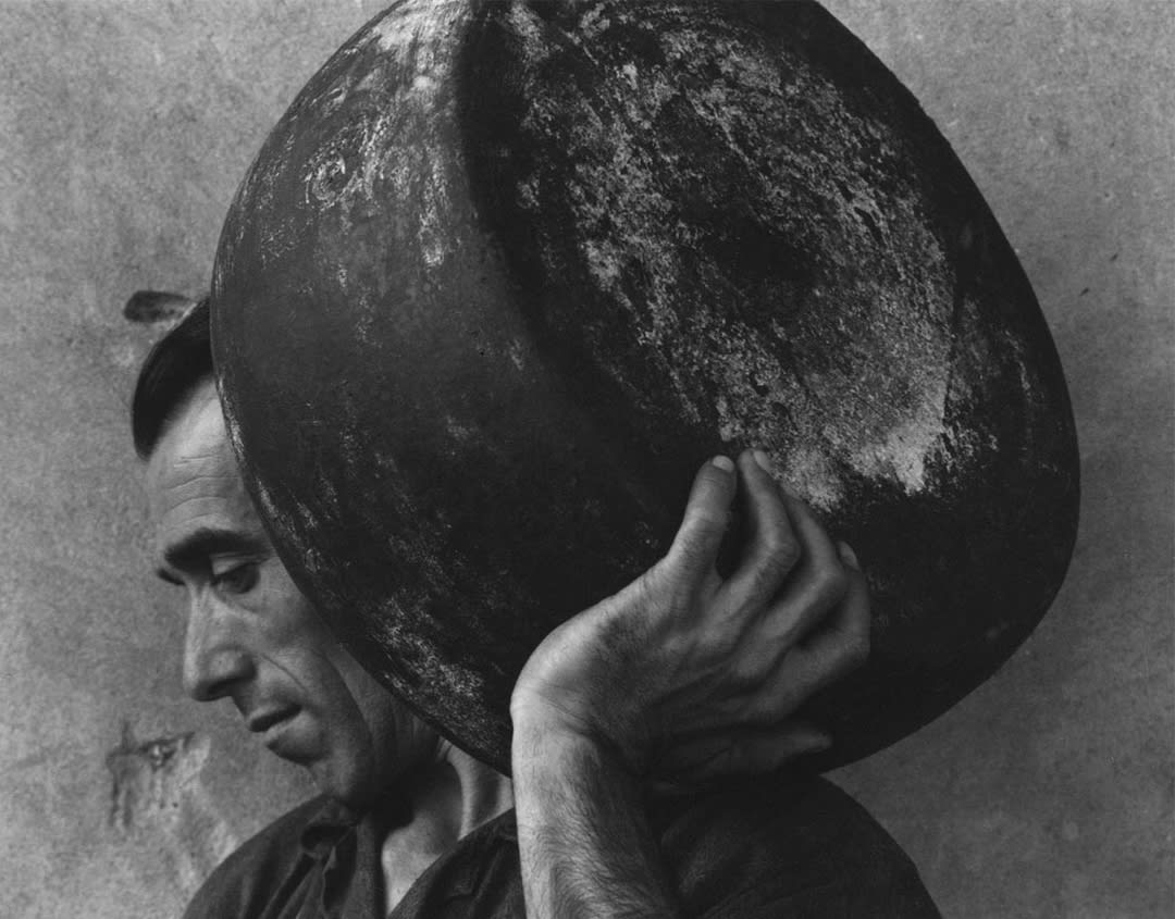 Parmesan, Luzzara, 1953
