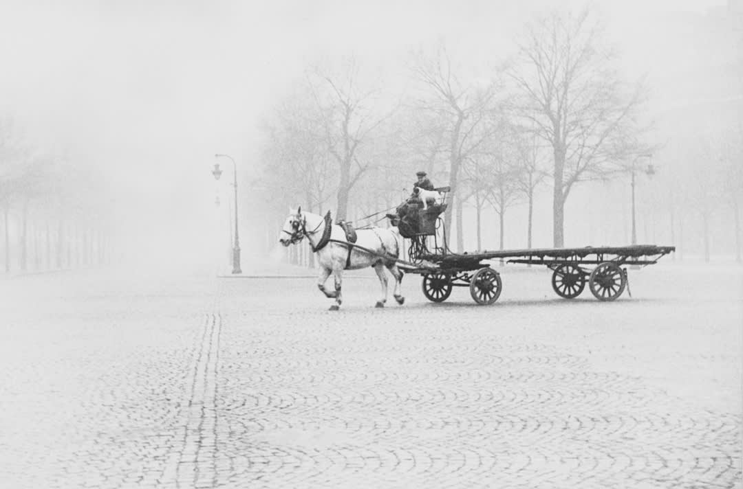 Horse and Cart, Paris, 1949. Collection of The Museum of Modern Art. Image courtesy of MoMA.