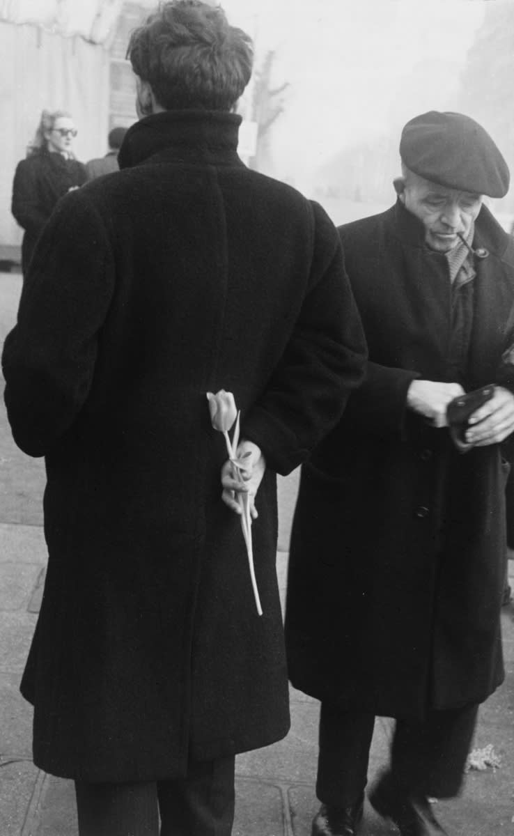 Tulip, Paris, 1950. Collection of The Museum of Modern Art. Image courtesy of MoMA.