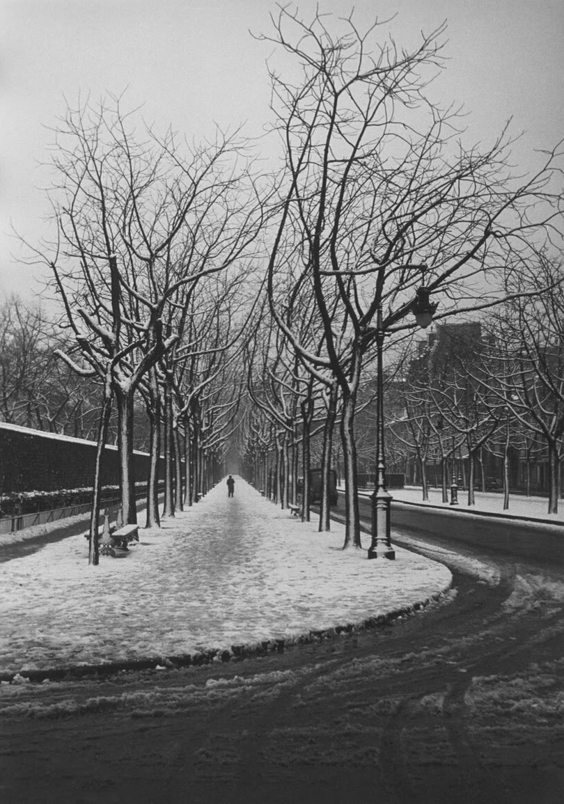 Boulevard Quinet, Paris, 1949. Image courtesy of The Art Institute of Chicago.