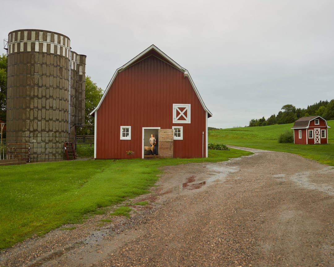 Ava, Pastoral Study, 2020