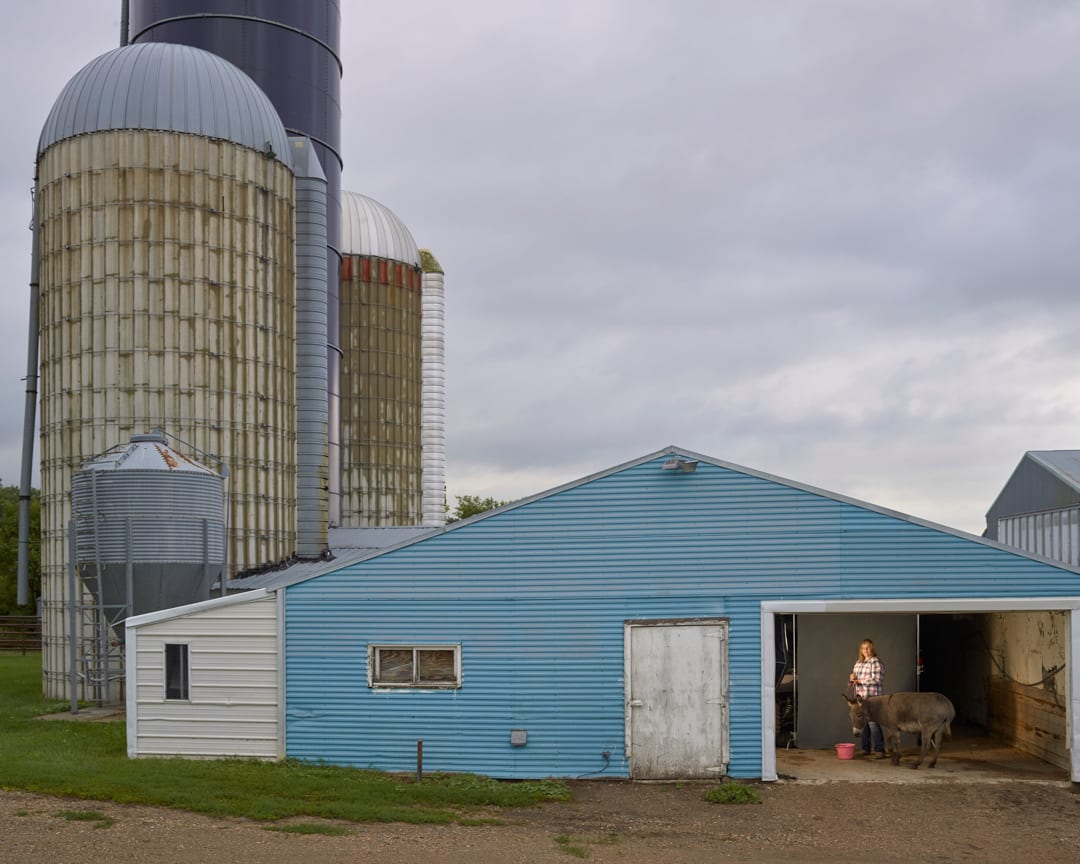 Carlana and donkey, Pastoral Study, 2020