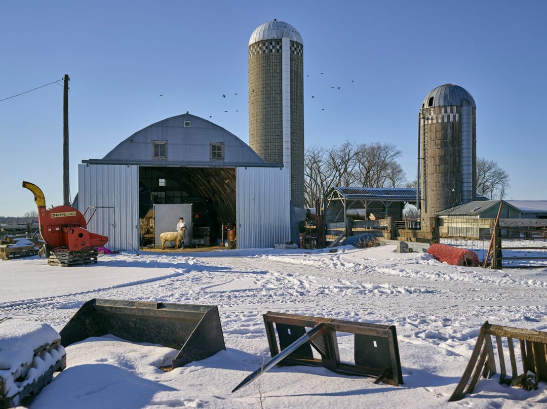 Josilin and Tantor, Benton County, Minnesota, 2021