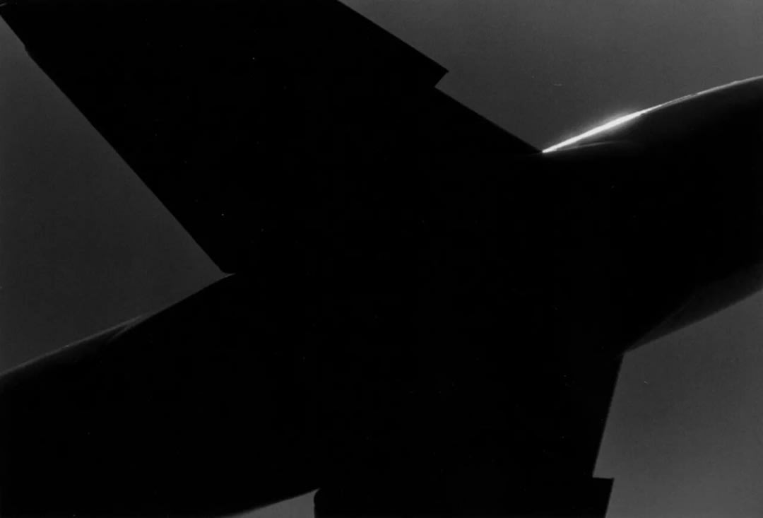 Masahisa Fukase – Ravens