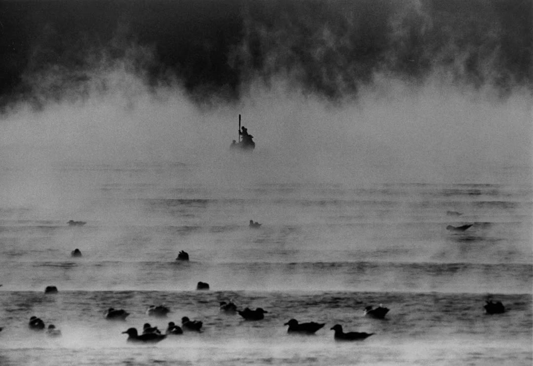 Masahisa Fukase – Ravens