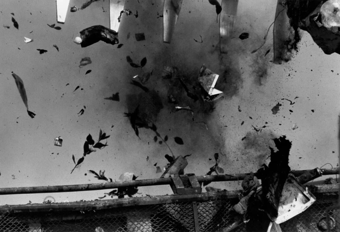 Masahisa Fukase – Ravens