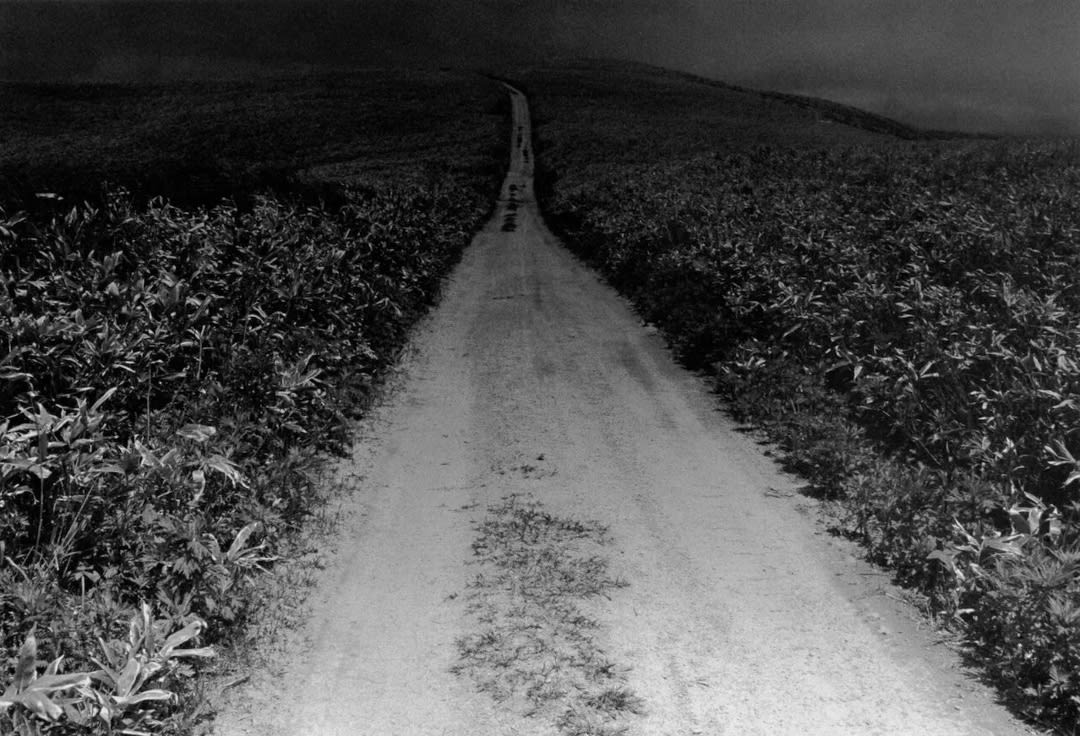 Masahisa Fukase – Ravens