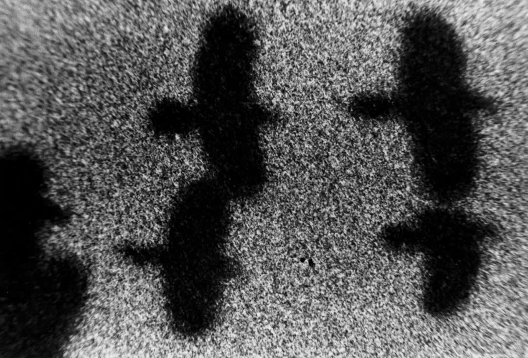 Masahisa Fukase – Ravens