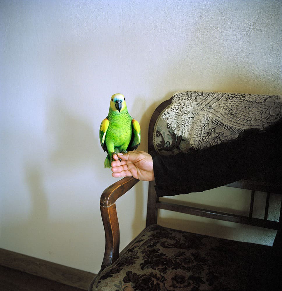 Stratos Kalafatis – Athos: Colors of Faith