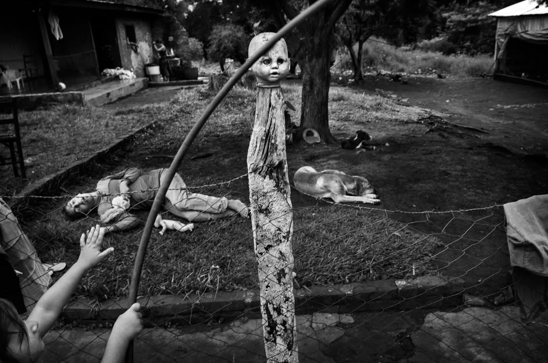 Pablo Ernesto Piovano – The Human Cost of Agrotoxins