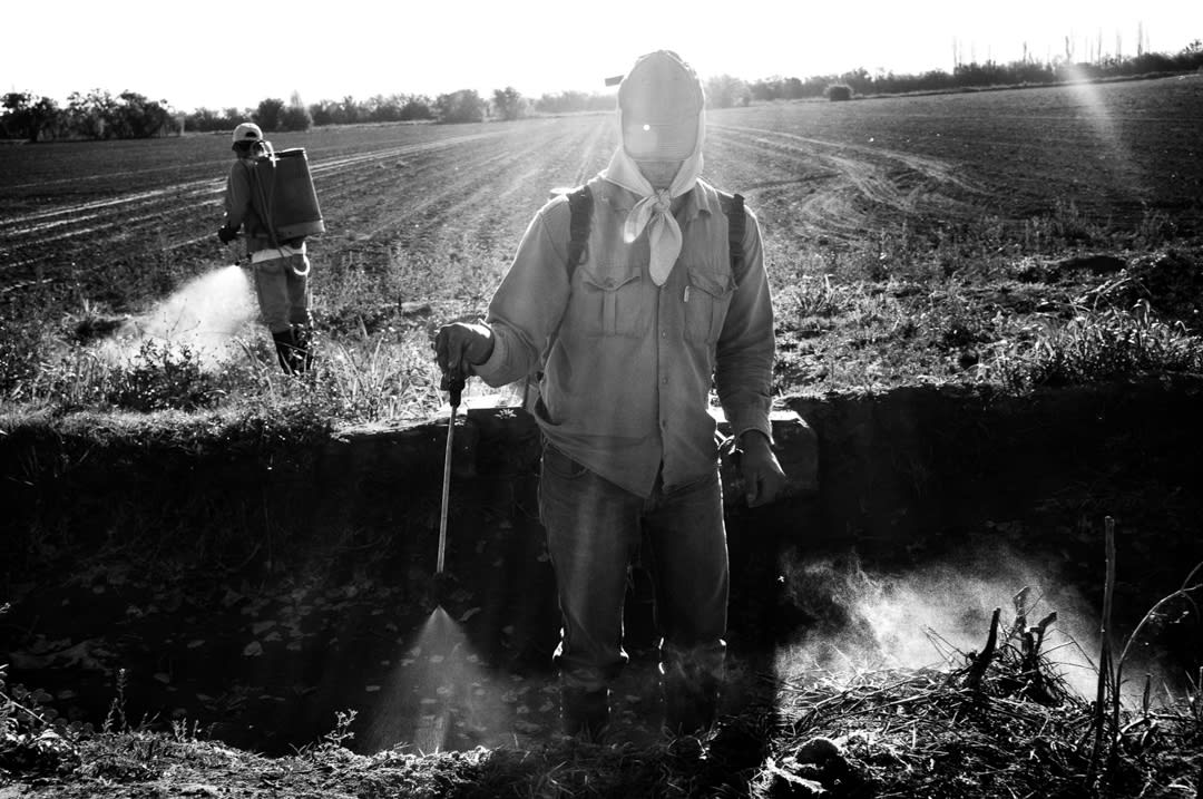 Pablo Ernesto Piovano – The Human Cost of Agrotoxins