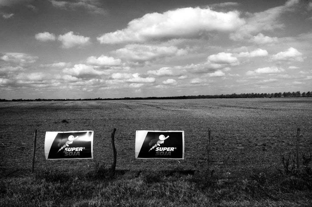 Pablo Ernesto Piovano – The Human Cost of Agrotoxins