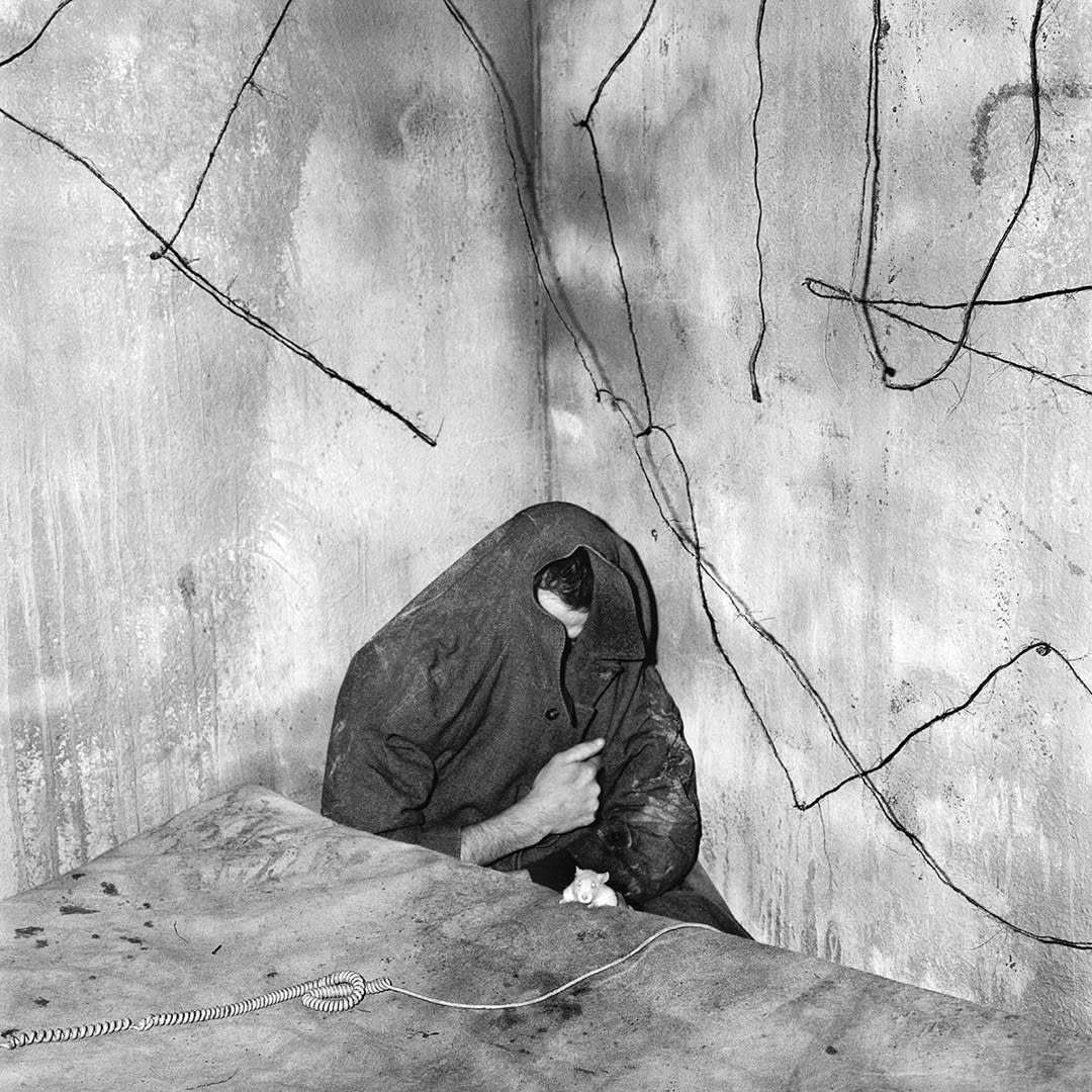 Cornered, 2004