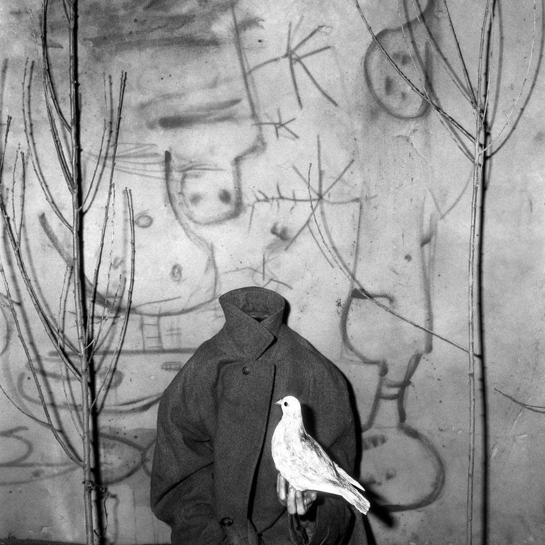 Headless, 2006