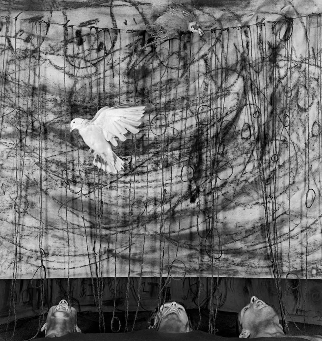 Gaping, 2010