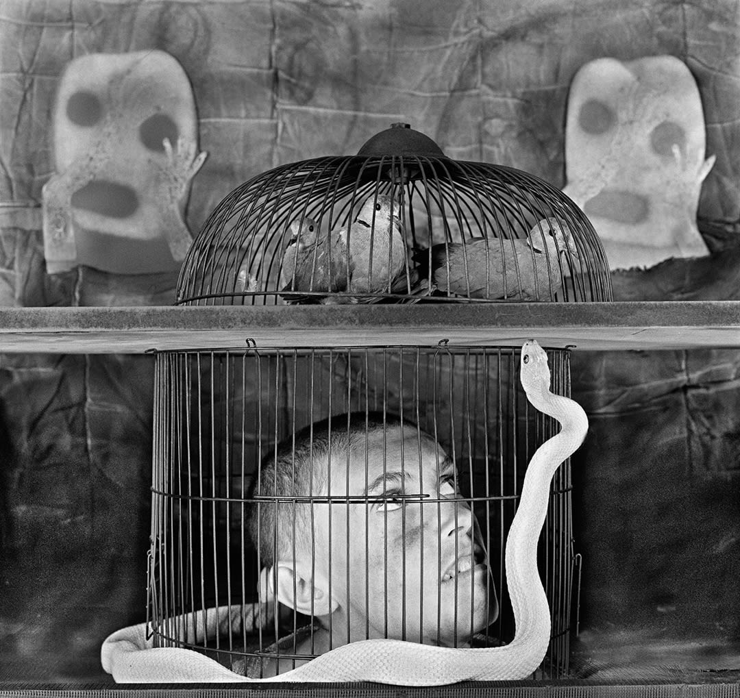 Caged, 2011