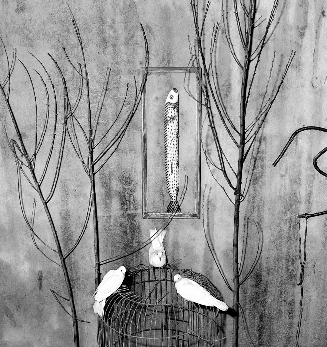 Ambience, 2006