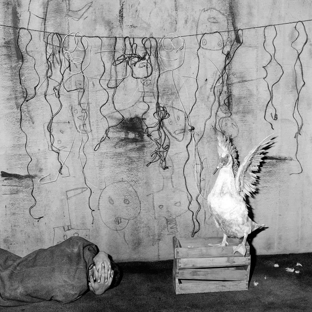Defeated, 2003
