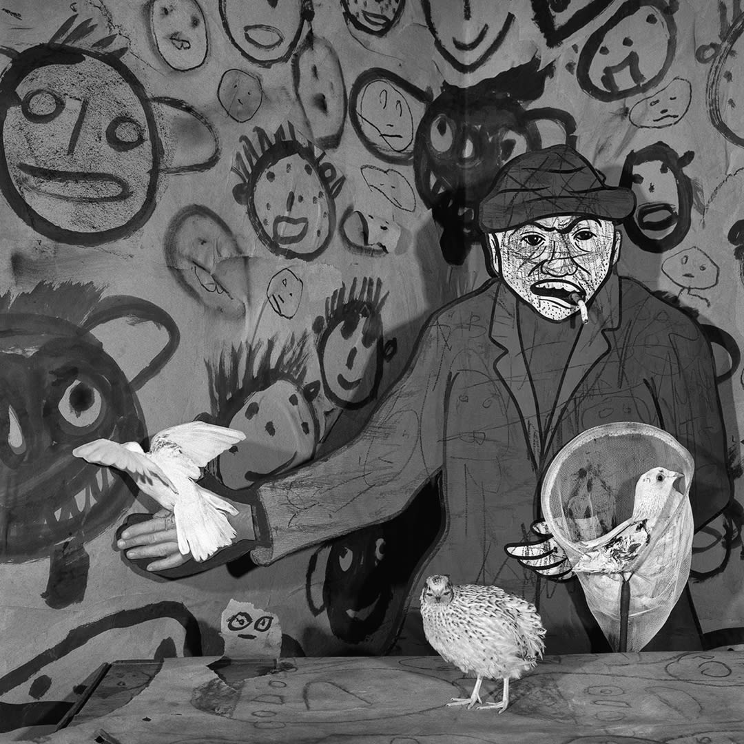 Dove Catcher, 2009