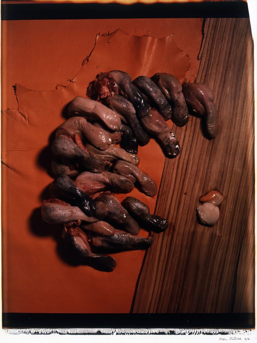 Meat Abstract No. 2: Tongues, 1989