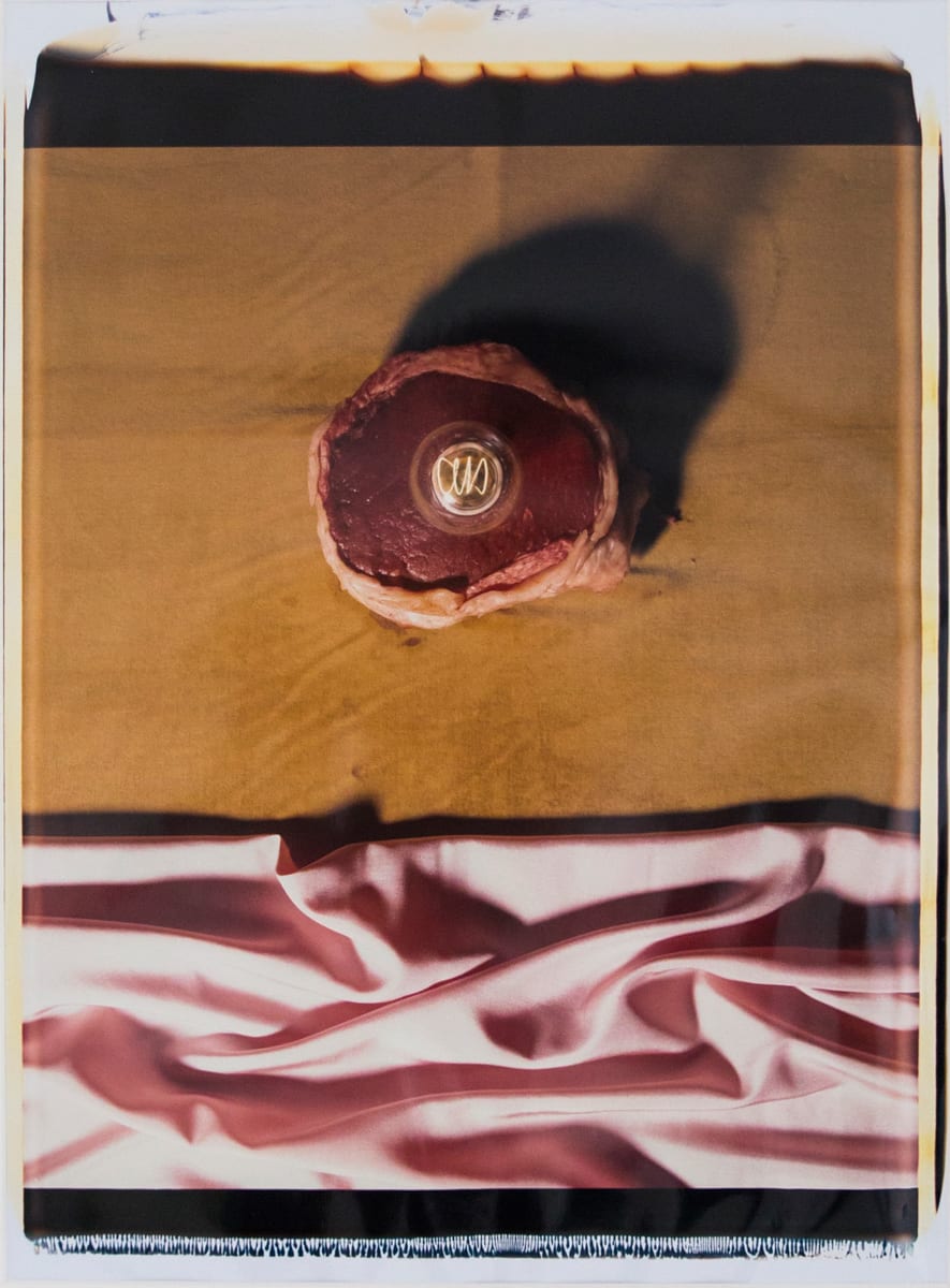 Meat Abstract No. 1 (Variation), 1989