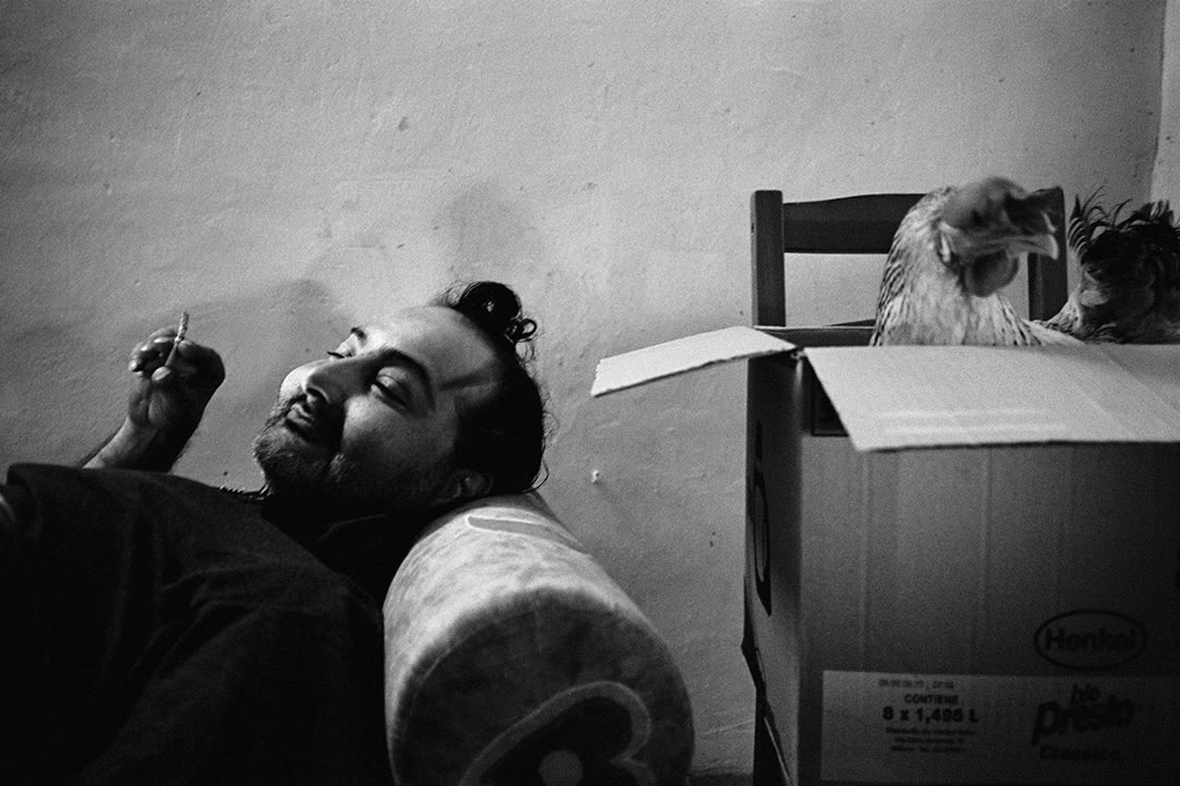 Alfonso, Rione Sanità, 2016