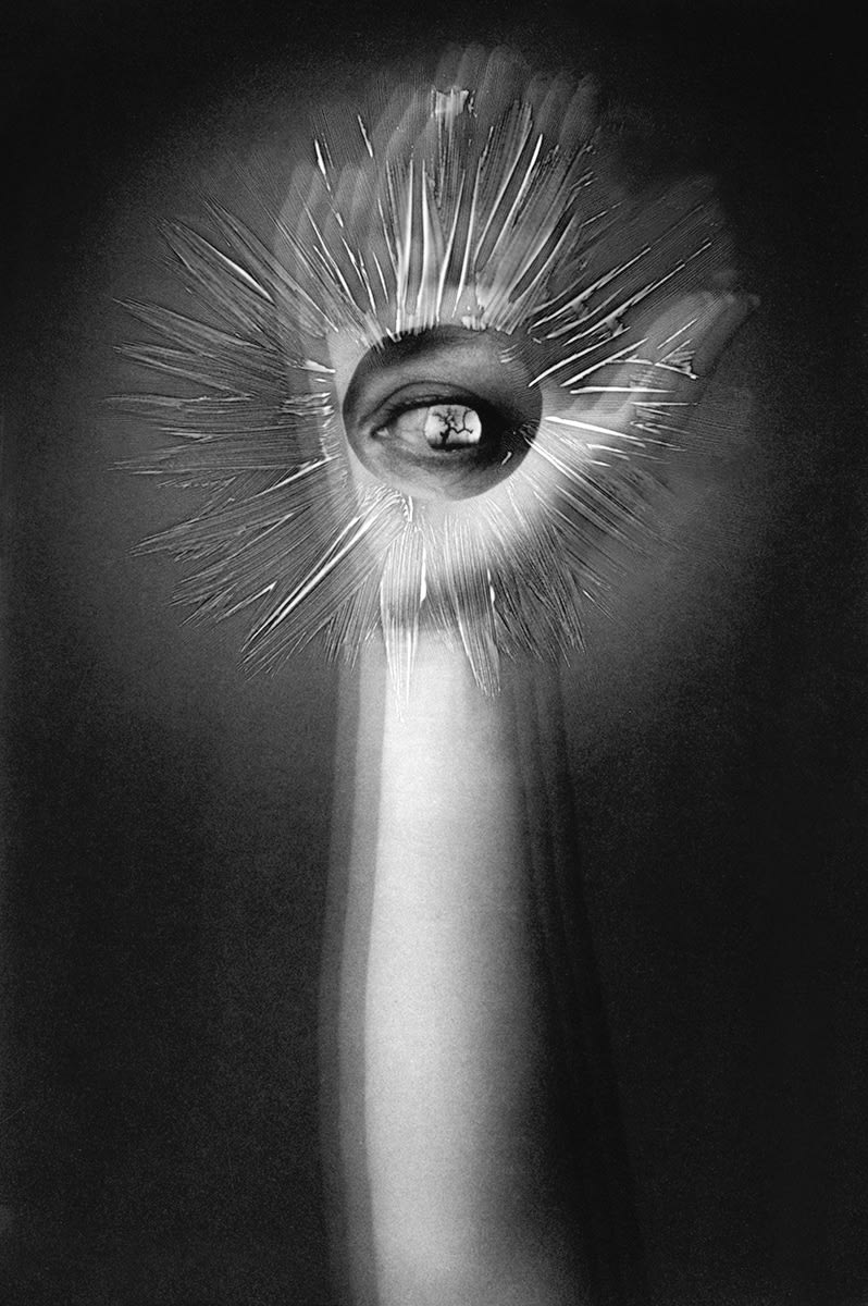 Roots Speaking In Shadows, 2024