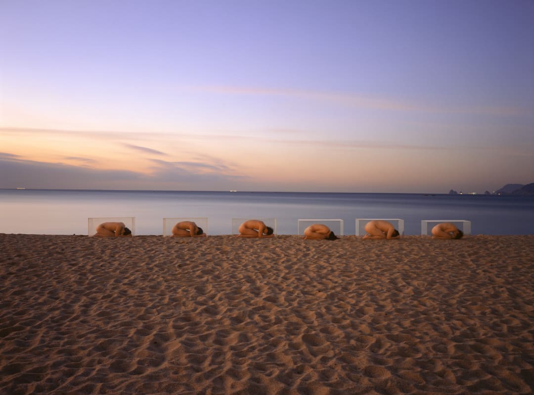 The Museum Project #002, from the series "Field", 1995