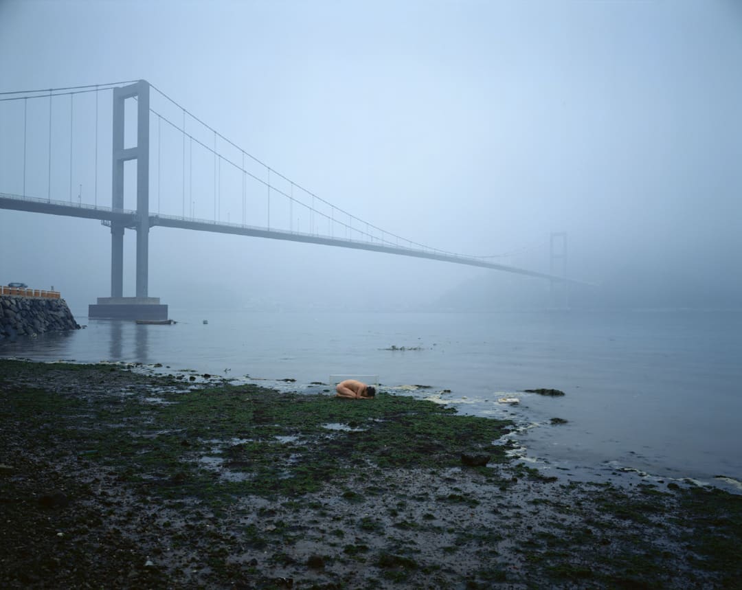 The Museum Project #008, from the series "Field", 1996