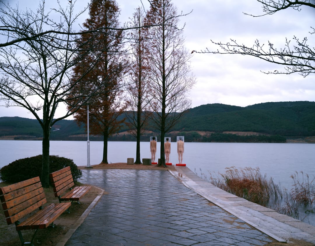 The Museum Project #018, from the series "Field", 1997