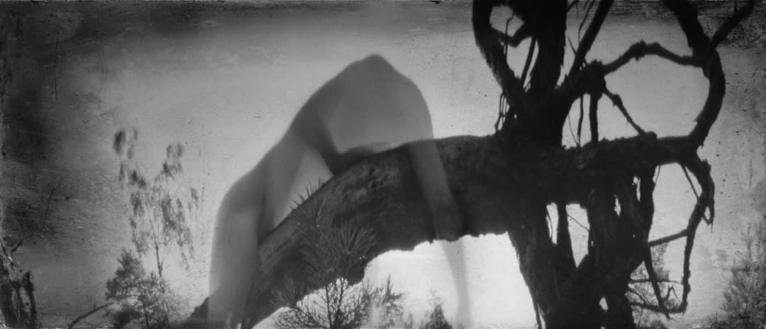 Nature's embrace, 2015