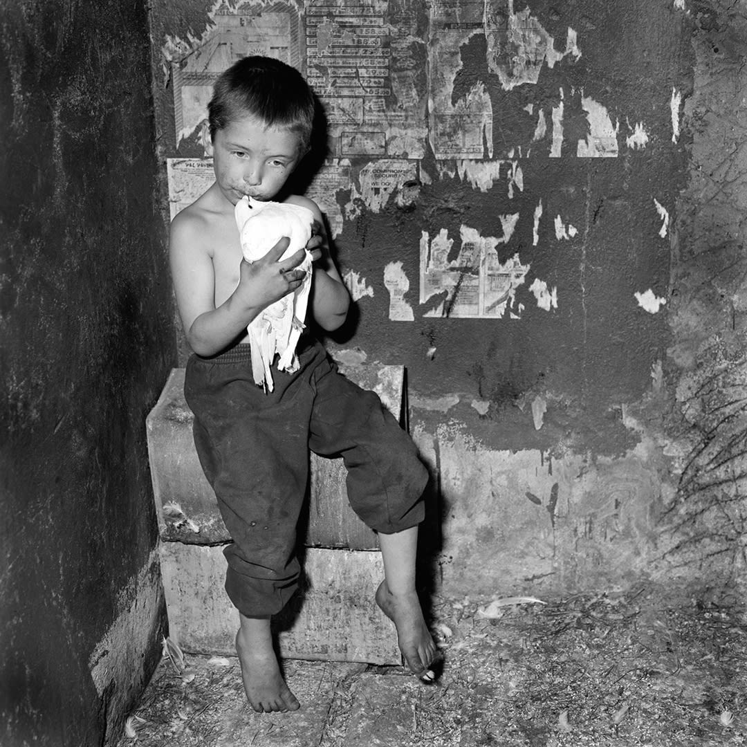 Child in Bird Coop, 1998
