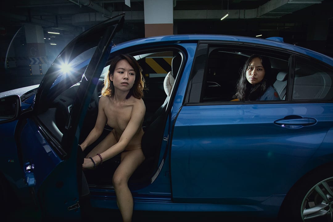 The Dove Occupies the Magpie's Nest, 2021