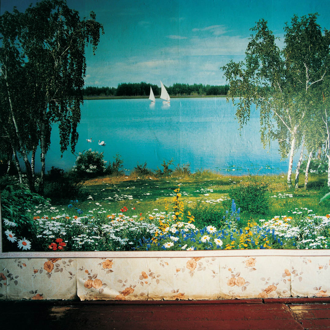 Sailboats and swans