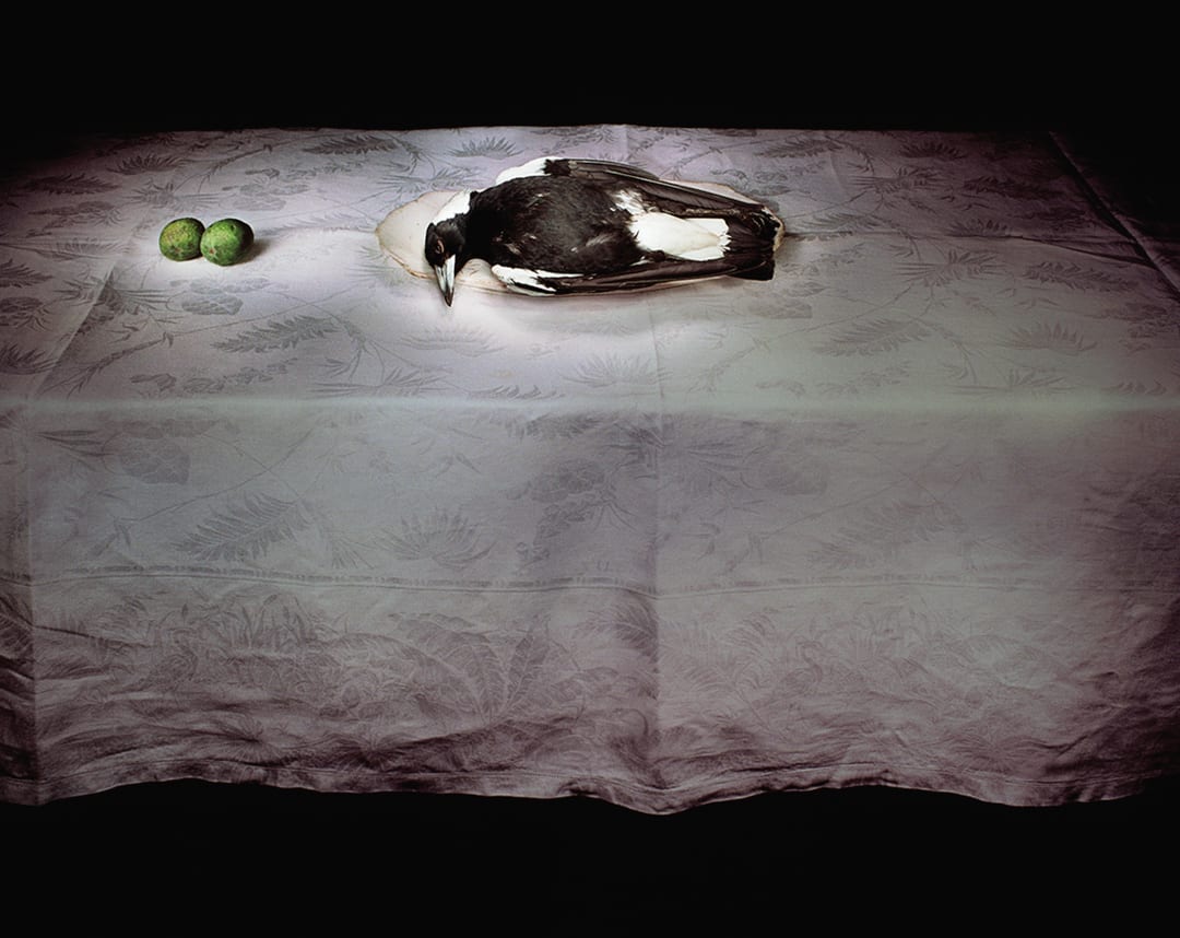 Magpie with limes, 2006