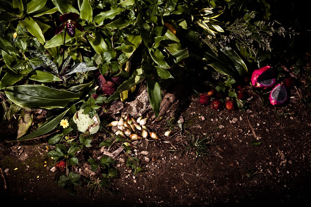 Secret Garden, 2012