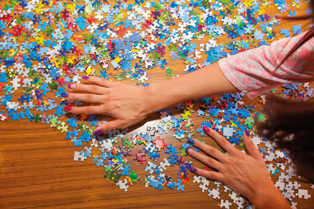 Puzzle, 2014
