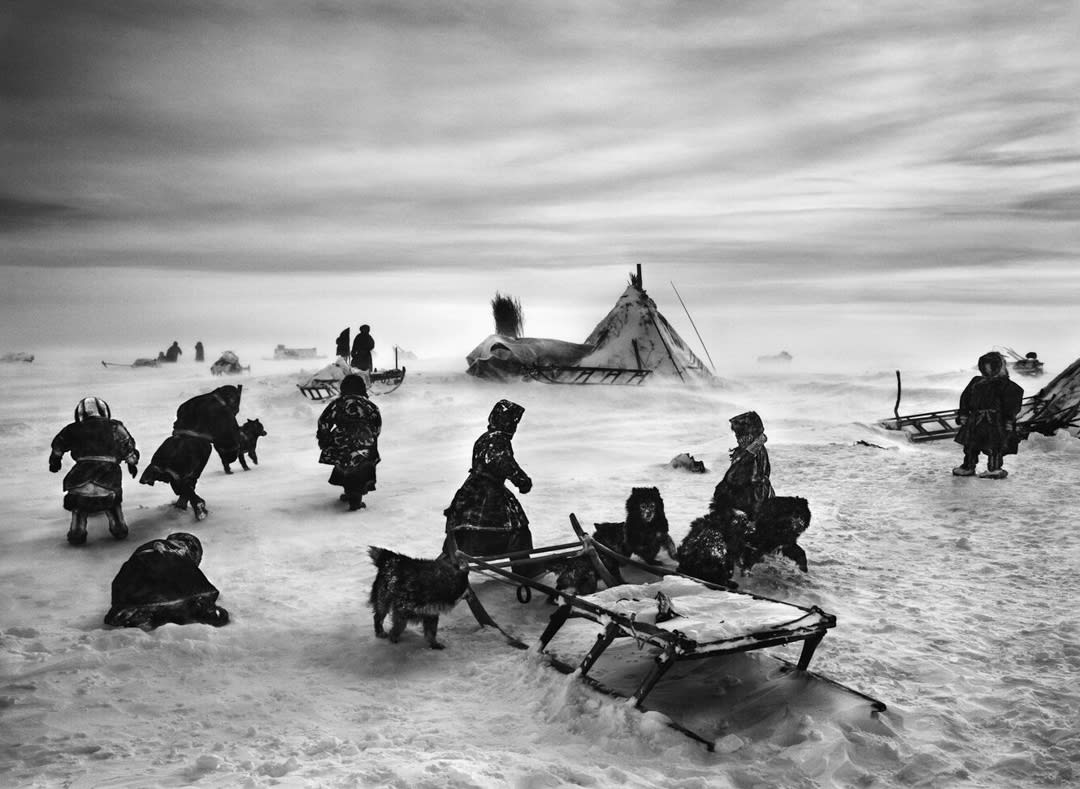 Nenets Nomads Camp, Siberia, Russia, 2011