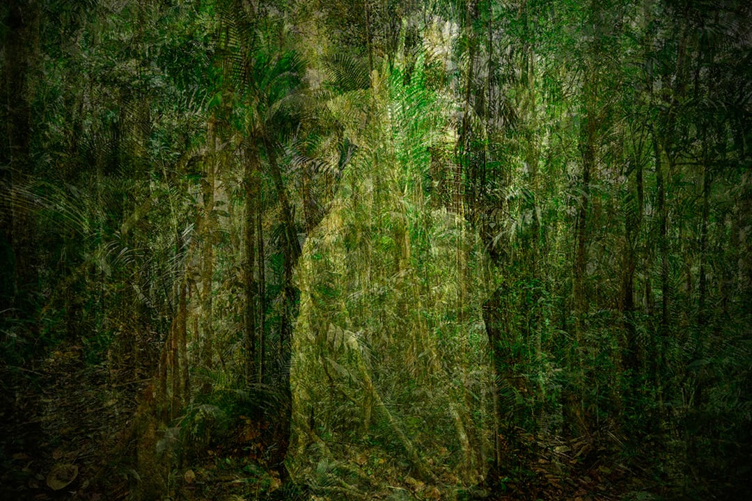Ukabate, Spirit of the Jungle. (Sebastián Descanse), Cofan People, 2023
